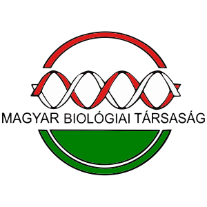 MBT-logo
